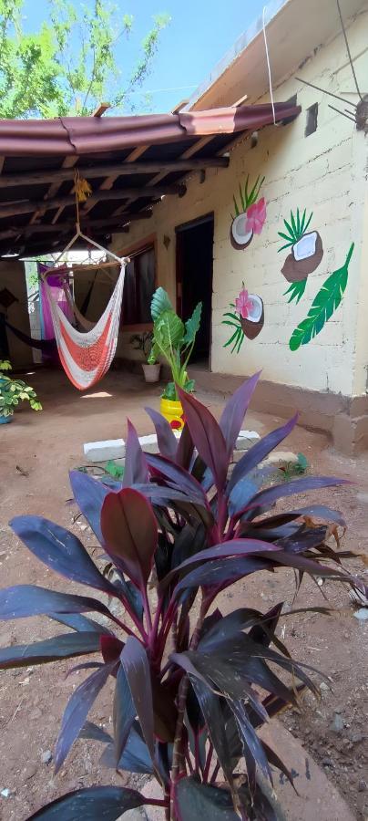 מזונטה El Hostel De Ivanna מראה חיצוני תמונה